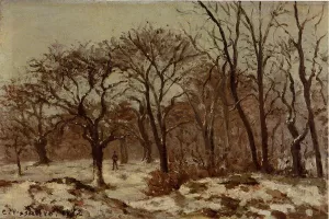 Chestnut Orchard in Winter