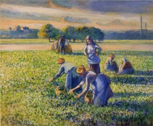 Picking Peas III